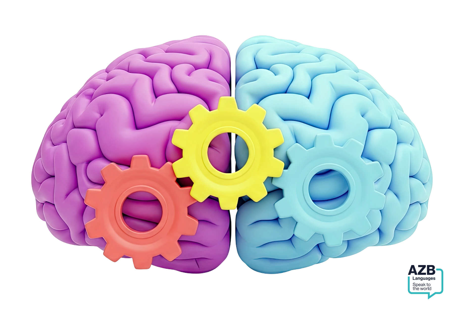 lingue neuropedagogia
